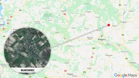 Wyszedł z psem na spacer, usłyszał huk. Zatrzymany myśliwy podejrzany o zastrzelenie zwierzęcia 