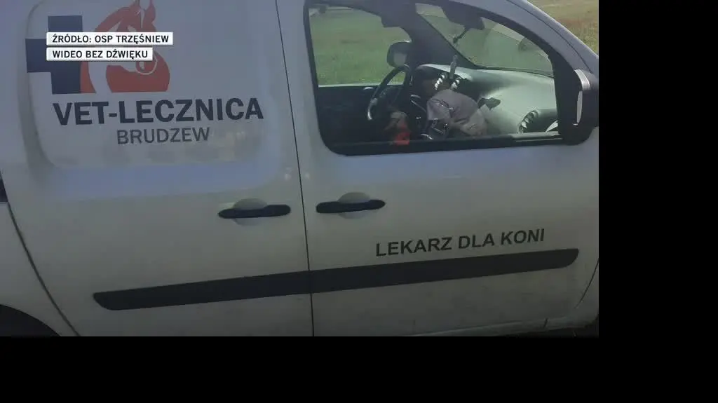 slideshow konie