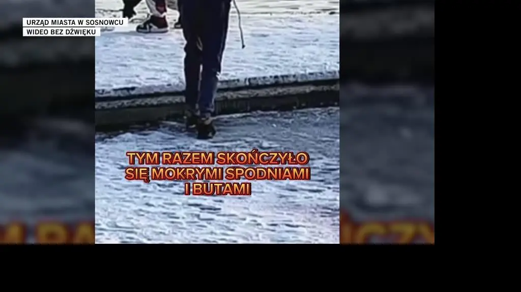 urząd miasta w Sosnowcu