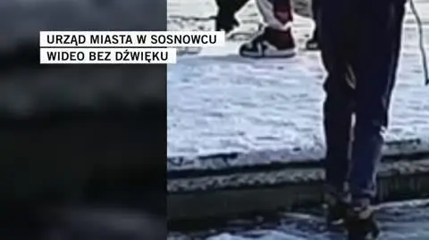 urząd miasta w Sosnowcu