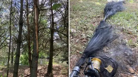 Piorun prześliznął się po drzewach i uderzył w wędkę