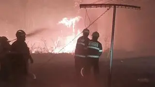 Pożar lasów w Parku Narodowym Czeska Szwajcaria 