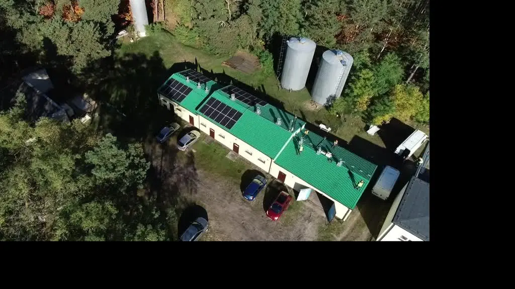 2010N380XR PIS DNZ WILCZYNSKA