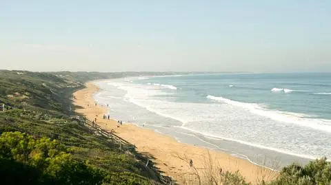 Atak rekina w Ocean Grove 