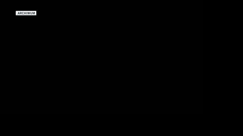 mieso