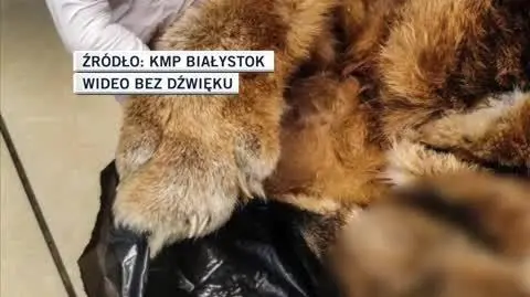 KMP Białystok