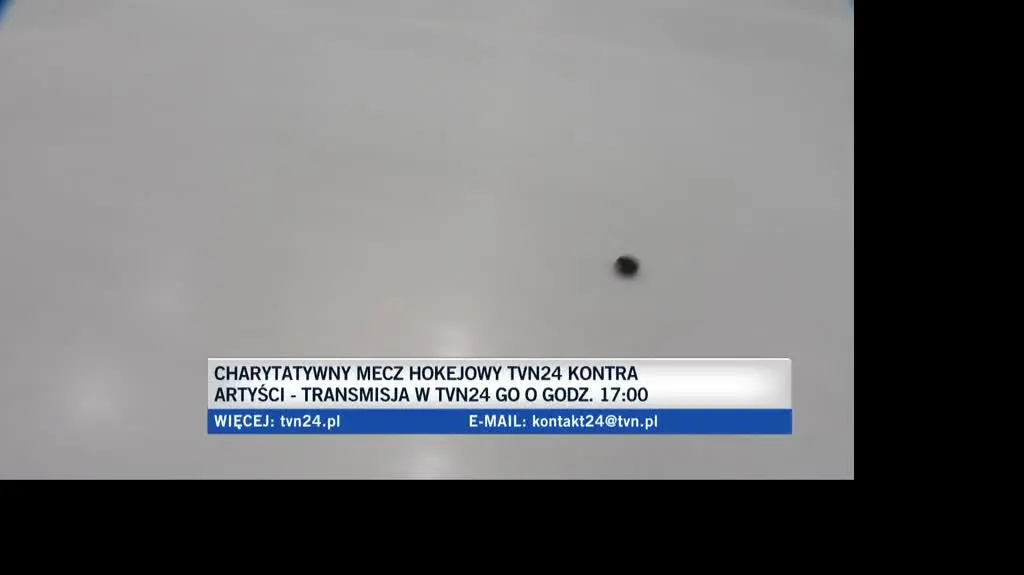 Charytatywny mecz hokeja