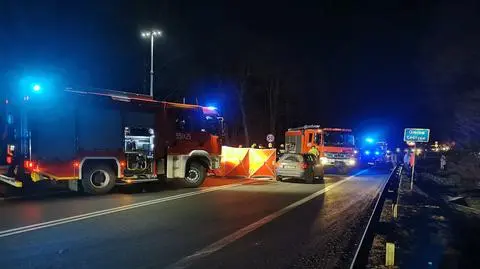 "Nagle wszedł na jezdnię". Nie żyje