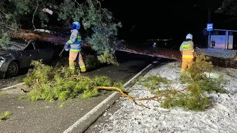 Uderzył w drzewo leżące na drodze