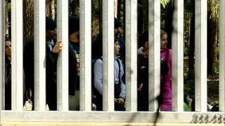 Migranci na polsko-białoruskiej granicy