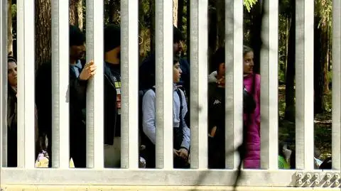 Migranci na polsko-białoruskiej granicy
