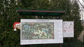 Zoo składa się z części parkowej, pawilonów i wybiegów