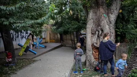 Bayraktar, Dżawelina i Iskander. Wojna wpływa na wybór imion nadawanych dzieciom