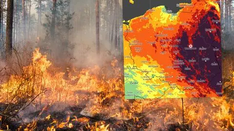 Ostrożnie w lesie! Ekstremalnie wysokie zagrożenie pożarami, a będzie jeszcze gorzej