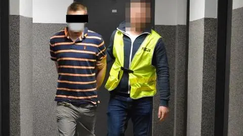 Mężczyzna przyznał się do winy 