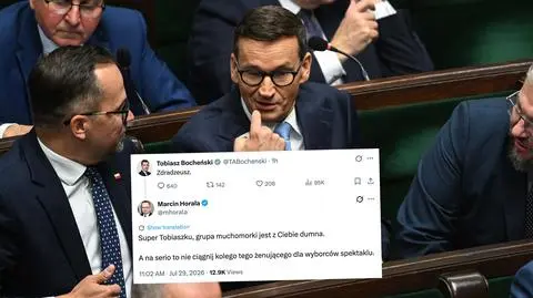 horala morawiecki sklej x