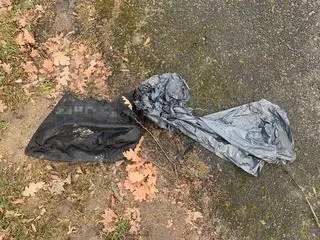 Martwego psa w worku znaleziono w centrum Wrocławia