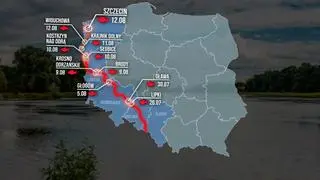 Śnięte ryby w Odrze. Mapa rozprzestrzeniania się katastrofy ekologicznej