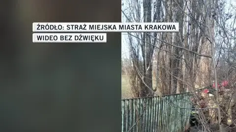 slideshow bartlomiej