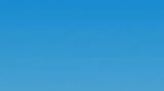 "Lot"