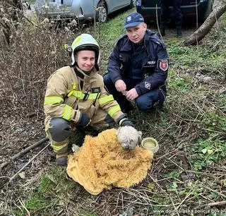 Pies siedział w pustostanie. Uratowali go policjanci i strażacy
