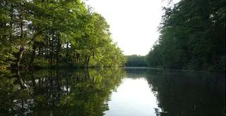 W jeziorze miały zostać zatopione ciężarówki