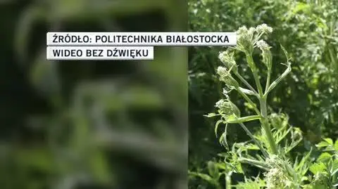 Politechnika Białostocka