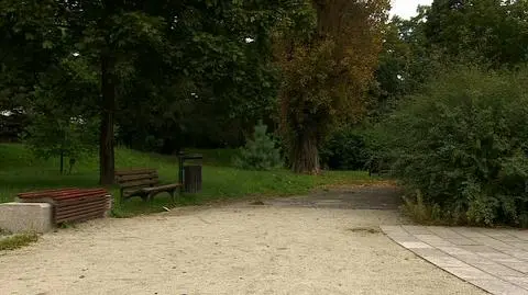 Próbował siłą zaciągnąć 15-latkę w krzaki, obezwładnili go przechodnie 