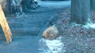 Samochody spłonęły w Bytomiu