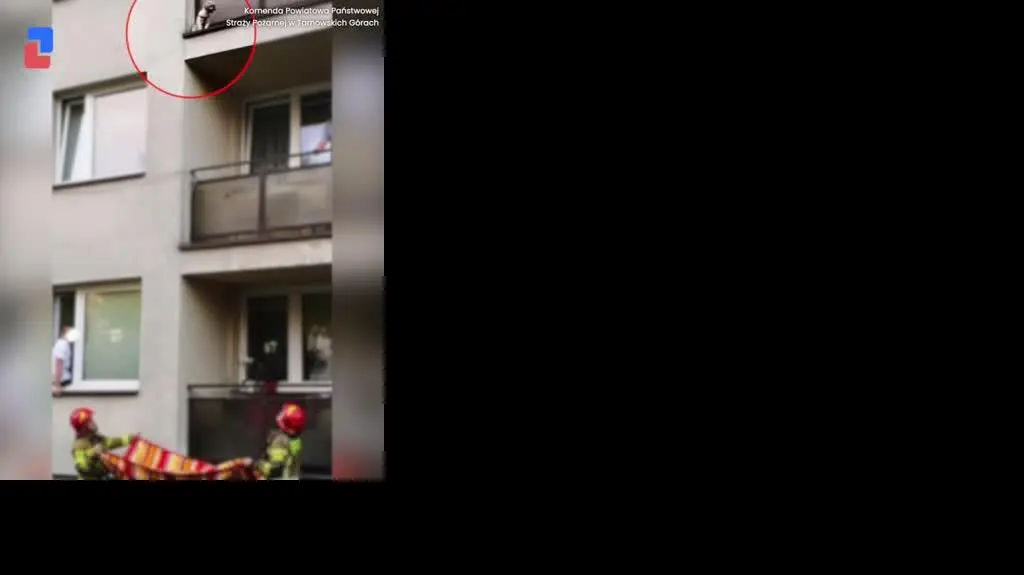 Pies za barierkami balkonu