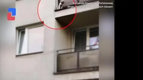 Pies za barierkami balkonu