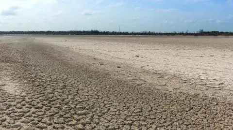 Tak sucho nie było w Indiach od ponad 100 lat. Winne może być El Nino