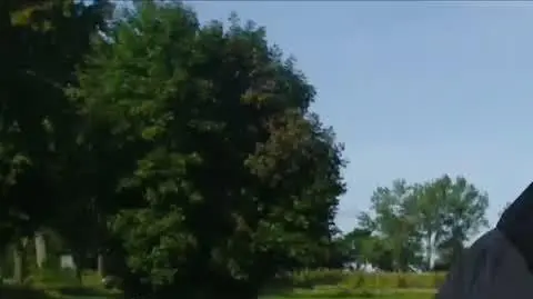 dla Martyny meiszkańcy