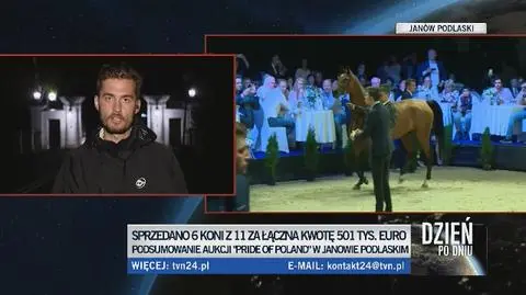 Stadniny koni arabskich pod lupą NIK