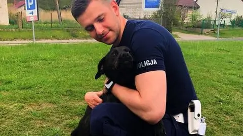 Pies błąkał się po wsi, właściciel szukał go gdzie indziej. Znaleźli się dzięki policjantom