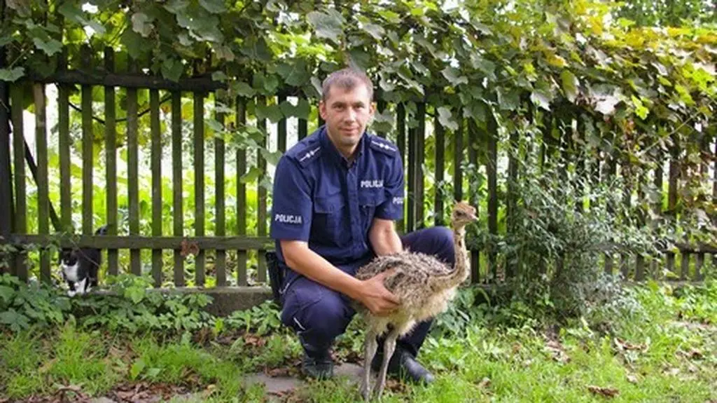 Policja po akcji