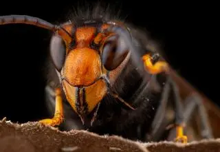 To globalne zagrożenie jest często ignorowane. Straty co roku sięgają setek miliardów dolarów 