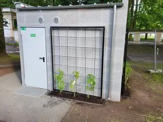Obok ścian posadzono rośliny 