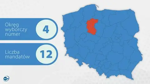 Brejza kontra "młodzież" PiS