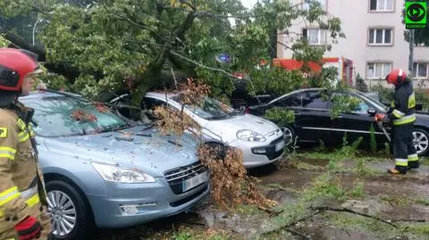 Połamane drzewa i zalane posesje. Ponad 2500 interwencji ostatniej doby