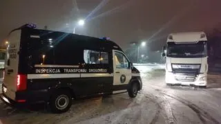 W naczepie przewożonych było 20 sztuk bydła 