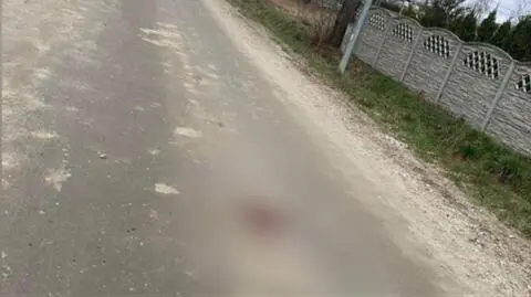 Szukają kierowcy, który na oczach dzieci przejechał psa