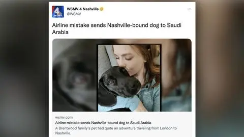 Pies miał lecieć do USA, trafił do Arabii Saudyjskiej