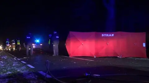 Uderzył w drzewo, auto stanęło w płomieniach. Nie żyje 19-letni kierowca i jego 17-letnia pasażerka 