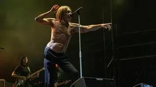 Iggy Pop