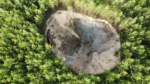 W lesie powstało kilkadziesiąt ogromnych zapadlisk. Są już znane prawdopodobne przyczyny