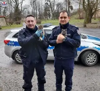 Policjanci, korzystając z pomocy innych kierowców, złapali czworonogi i przewieźli je do lekarza weterynarii