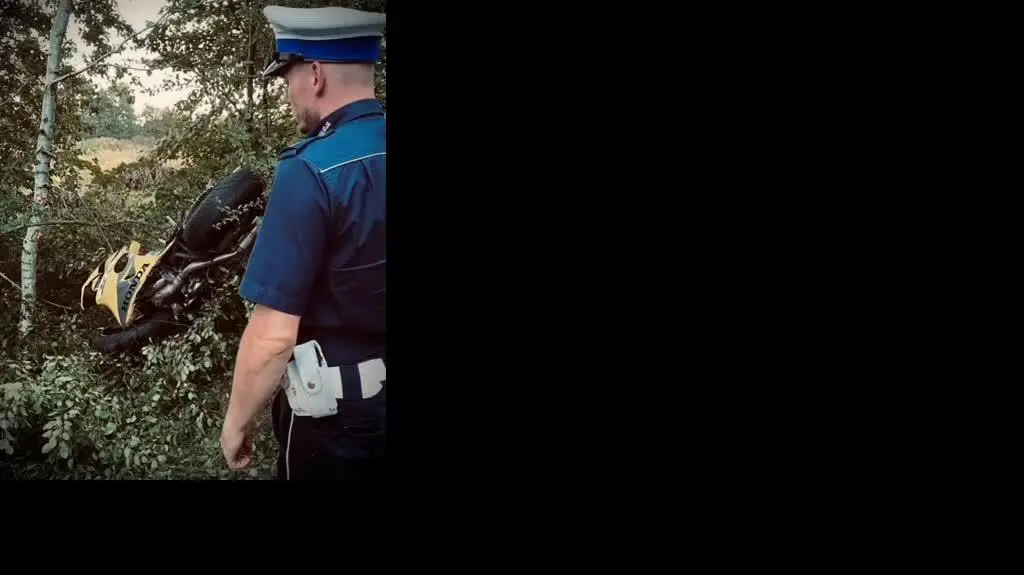 YouCut_20220904_125404178