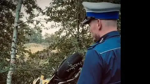 YouCut_20220904_125404178