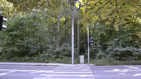 Wybudowali sygnalizację w lesie. Od miesięcy stoi niepodłączona